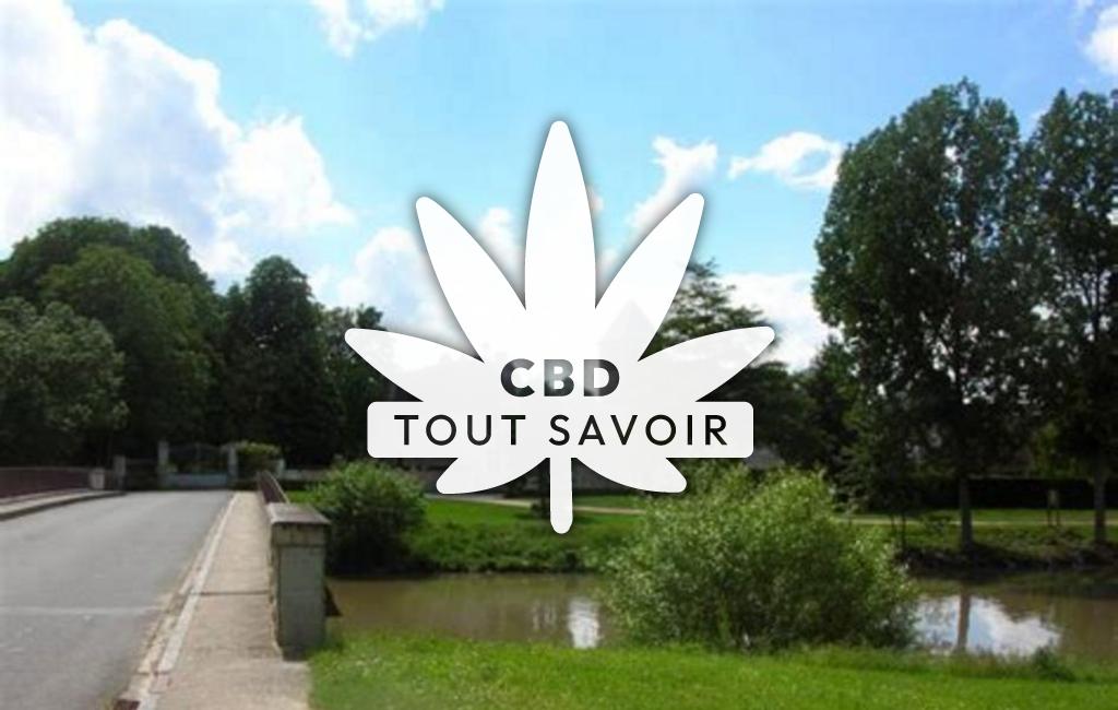 Village à Chemille-sur-Indrois avec feuille Cannabis CBD
