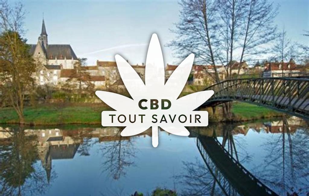 Village à Loche-sur-Indrois avec feuille Cannabis CBD