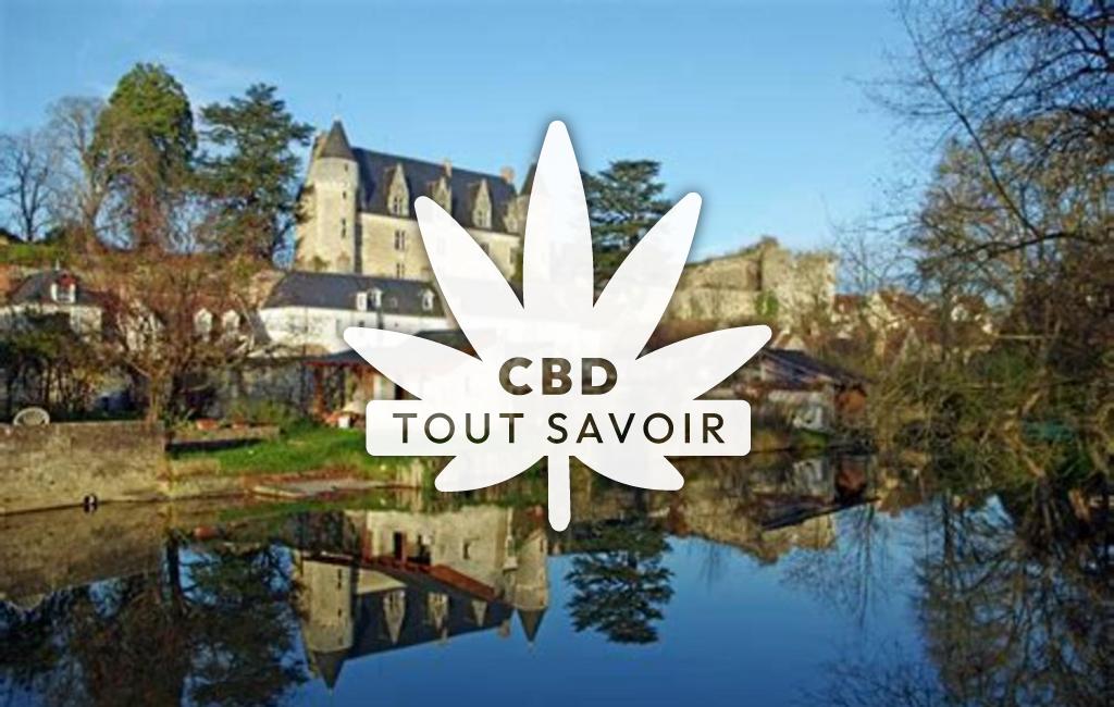 Village à Nouans-les-Fontaines avec feuille Cannabis CBD