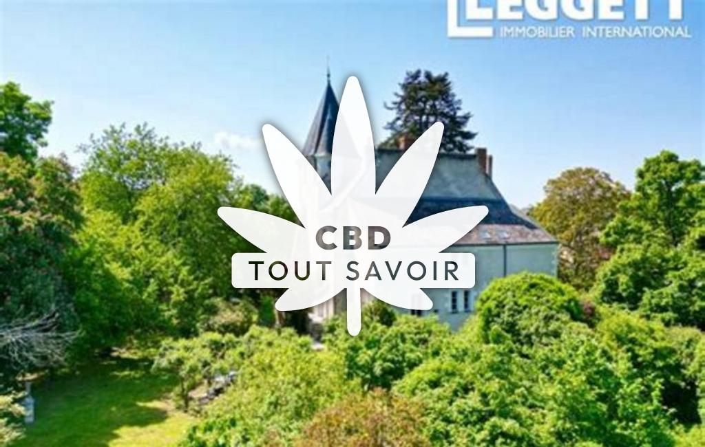 Village à Villeloin-Coulange avec feuille Cannabis CBD