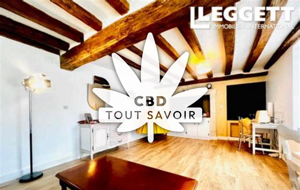 Village à Anche avec feuille Cannabis CBD
