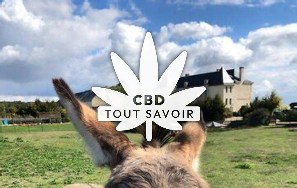 Village à Couziers avec feuille Cannabis CBD