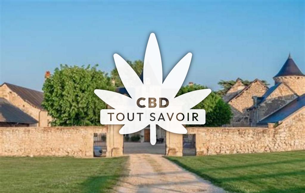 Village à La-Roche-Clermault avec feuille Cannabis CBD