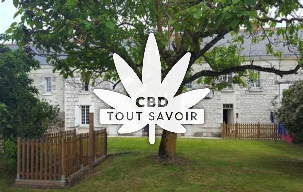 Village à Marcay avec feuille Cannabis CBD