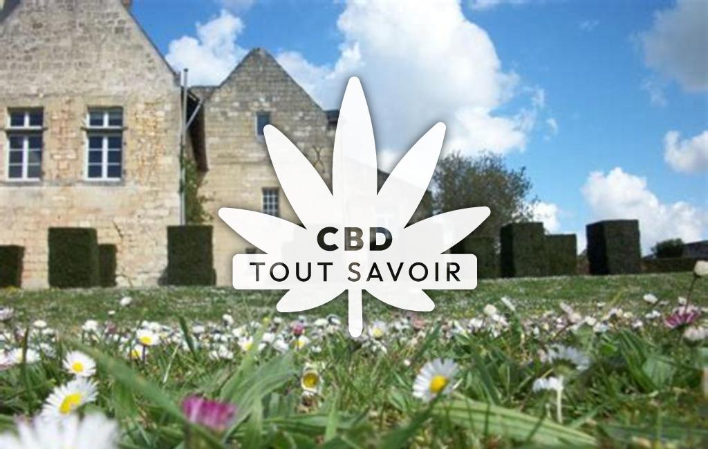 Village à Seuilly avec feuille Cannabis CBD