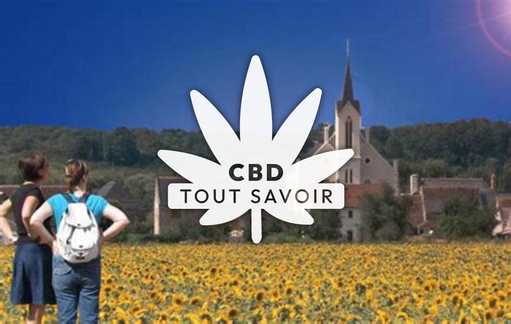 Village à Berthenay avec feuille Cannabis CBD