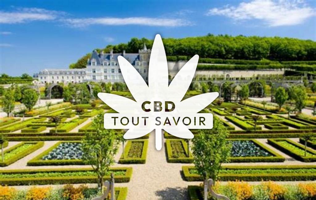 Village à Villandry avec feuille Cannabis CBD