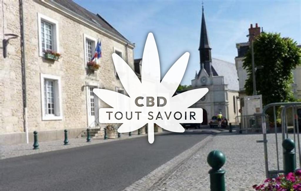 Village à Poce-sur-Cisse avec feuille Cannabis CBD
