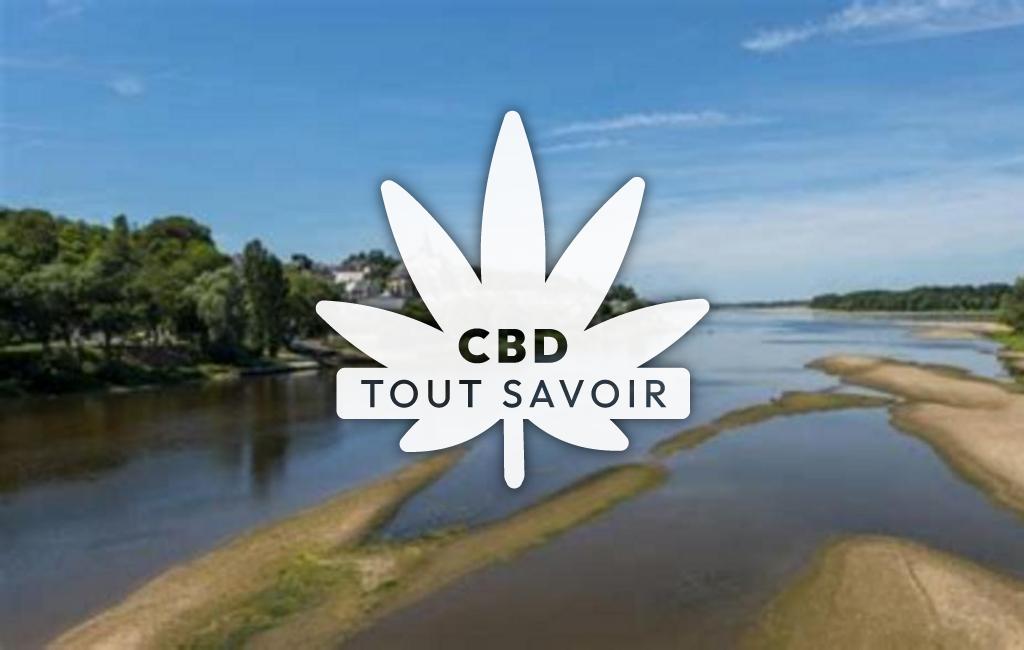 Village à Souvigny-de-Touraine avec feuille Cannabis CBD