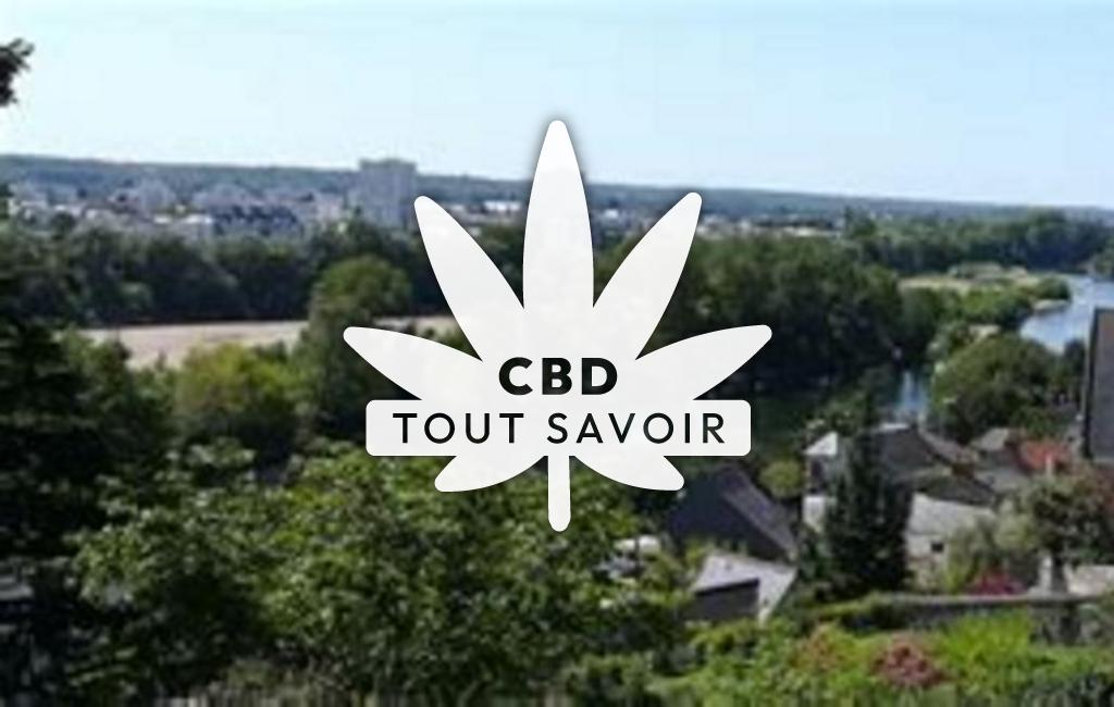 Village à Saint-Cyr-sur-Loire avec feuille Cannabis CBD