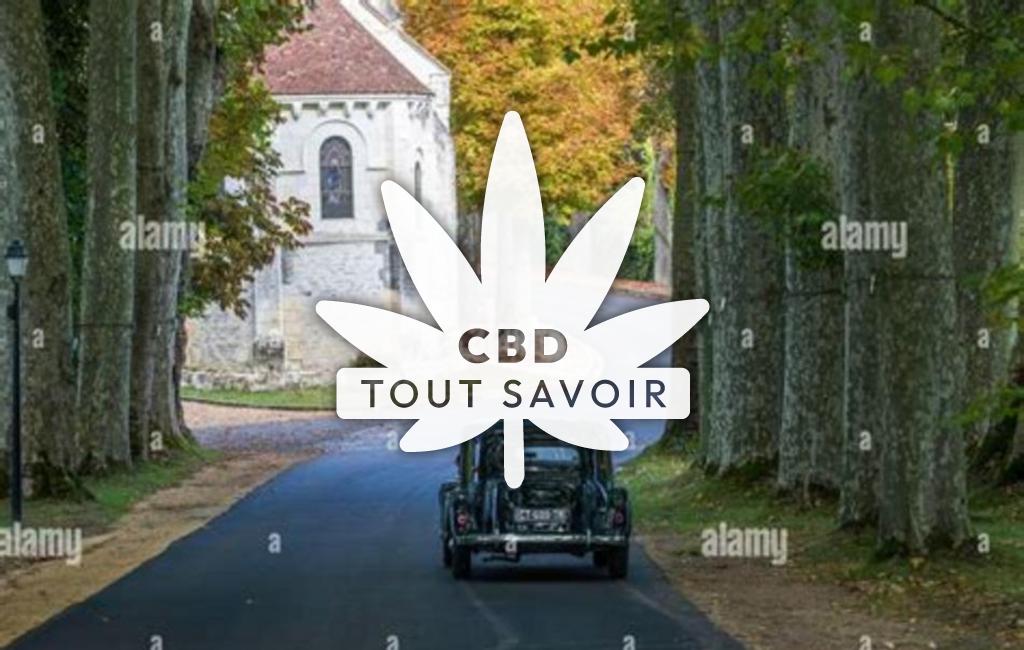 Village à Chanceaux-Pres-Loches avec feuille Cannabis CBD