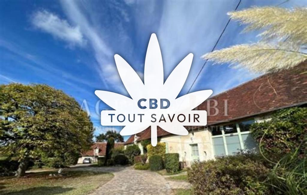 Village à Saint-Flovier avec feuille Cannabis CBD