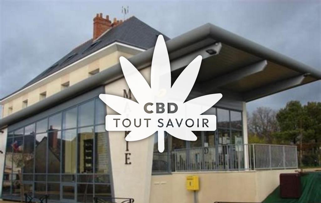 Village à Saint-Jean-Saint-Germain avec feuille Cannabis CBD