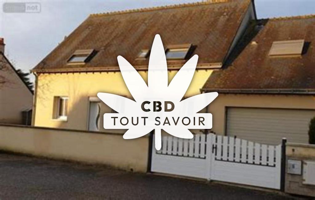 Village à La-Ville-aux-Dames avec feuille Cannabis CBD