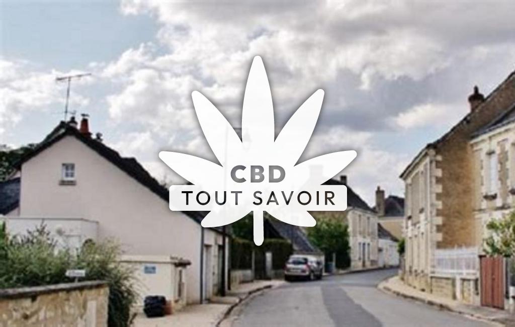 Village à Noyant-de-Touraine avec feuille Cannabis CBD
