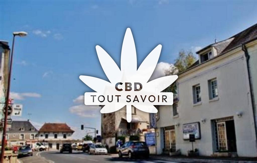 Village à Pouzay avec feuille Cannabis CBD