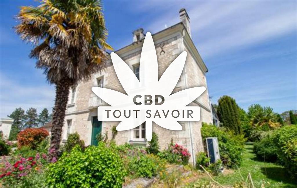 Village à Pussigny avec feuille Cannabis CBD