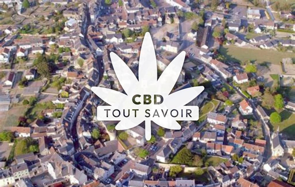 Village à Sainte-Maure-de-Touraine avec feuille Cannabis CBD