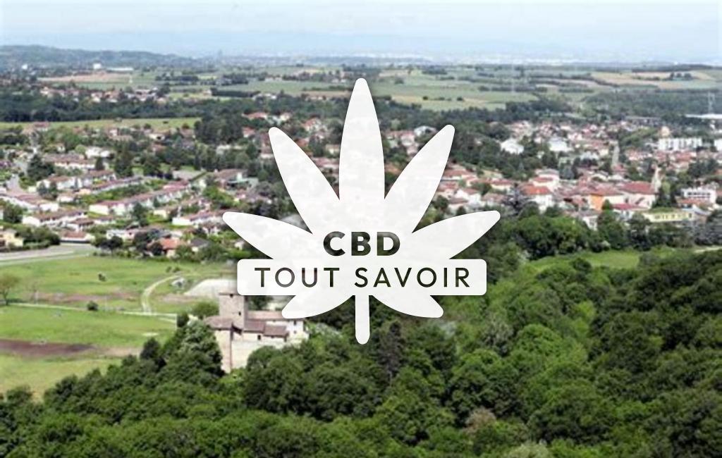Village à Saint-Quentin-Fallavier avec feuille Cannabis CBD