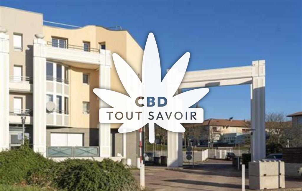 Village à L'Isle-D'Abeau avec feuille Cannabis CBD