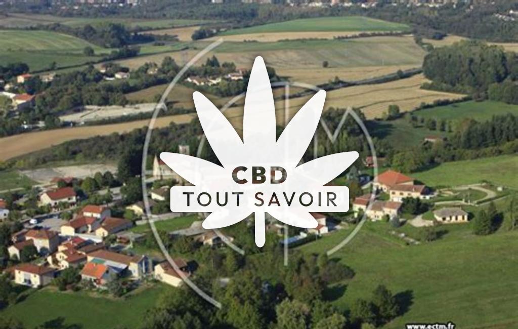Village à Bonnefamille avec feuille Cannabis CBD