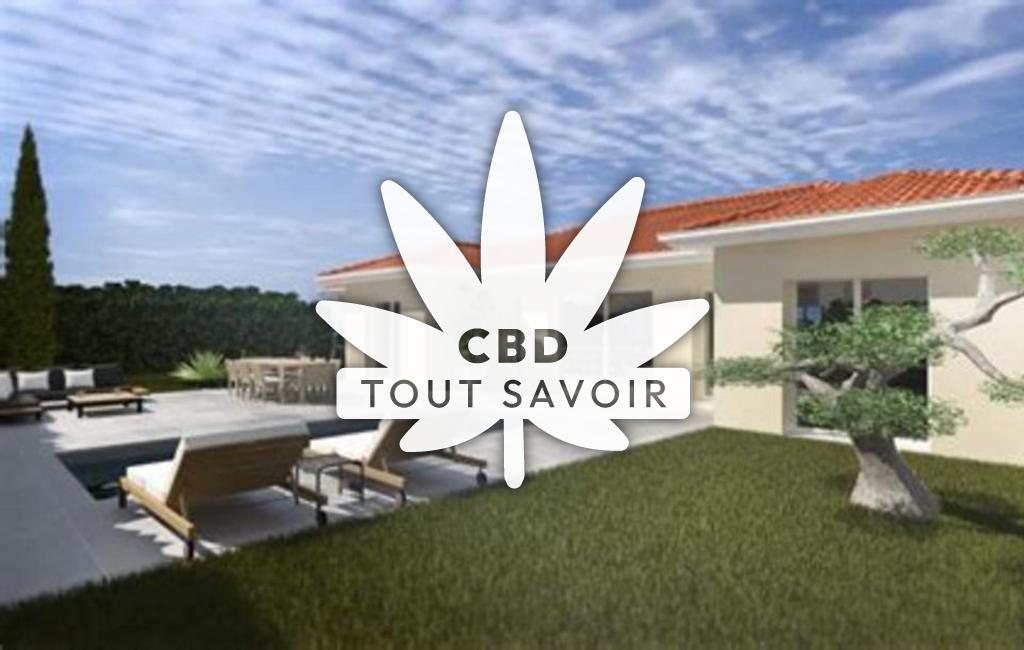 Village à Vaulx-Milieu avec feuille Cannabis CBD