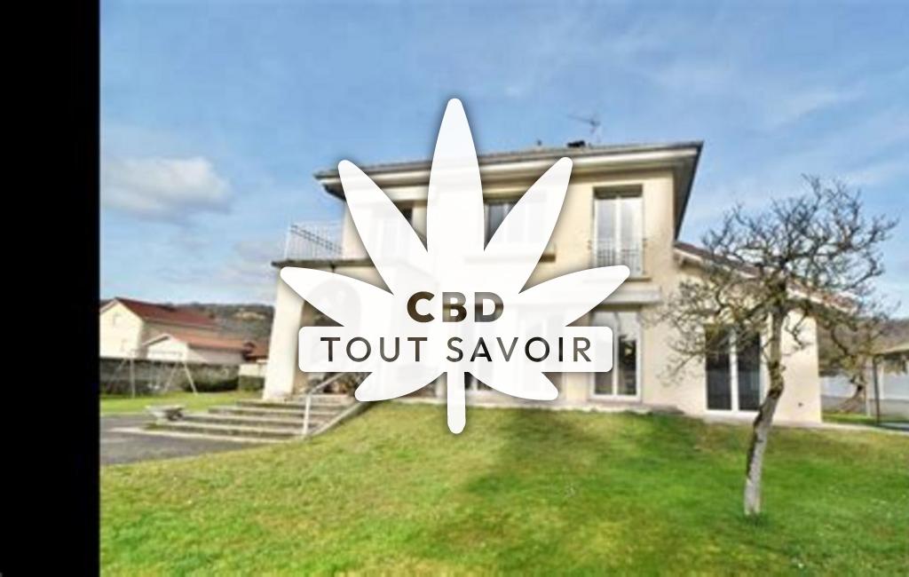 Village à Cessieu avec feuille Cannabis CBD