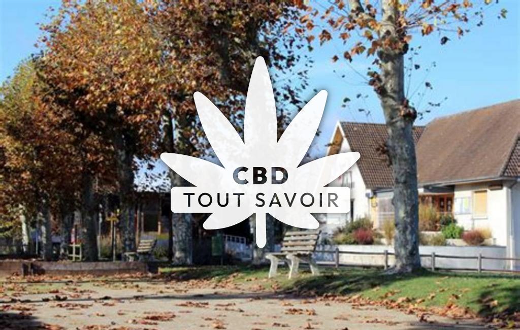 Village à Faverges-de-la-Tour avec feuille Cannabis CBD