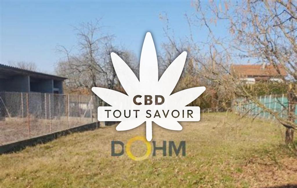 Village à La-Batie-Montgascon avec feuille Cannabis CBD