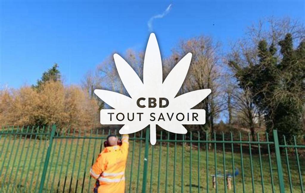 Village à La-Tour-du-Pin avec feuille Cannabis CBD