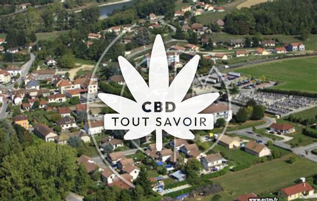 Village à Saint-Didier-de-la-Tour avec feuille Cannabis CBD