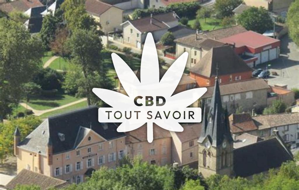 Village à Saint-Jean-de-Soudain avec feuille Cannabis CBD