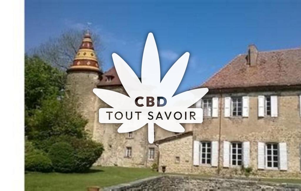 Village à Saint-Victor-de-Cessieu avec feuille Cannabis CBD