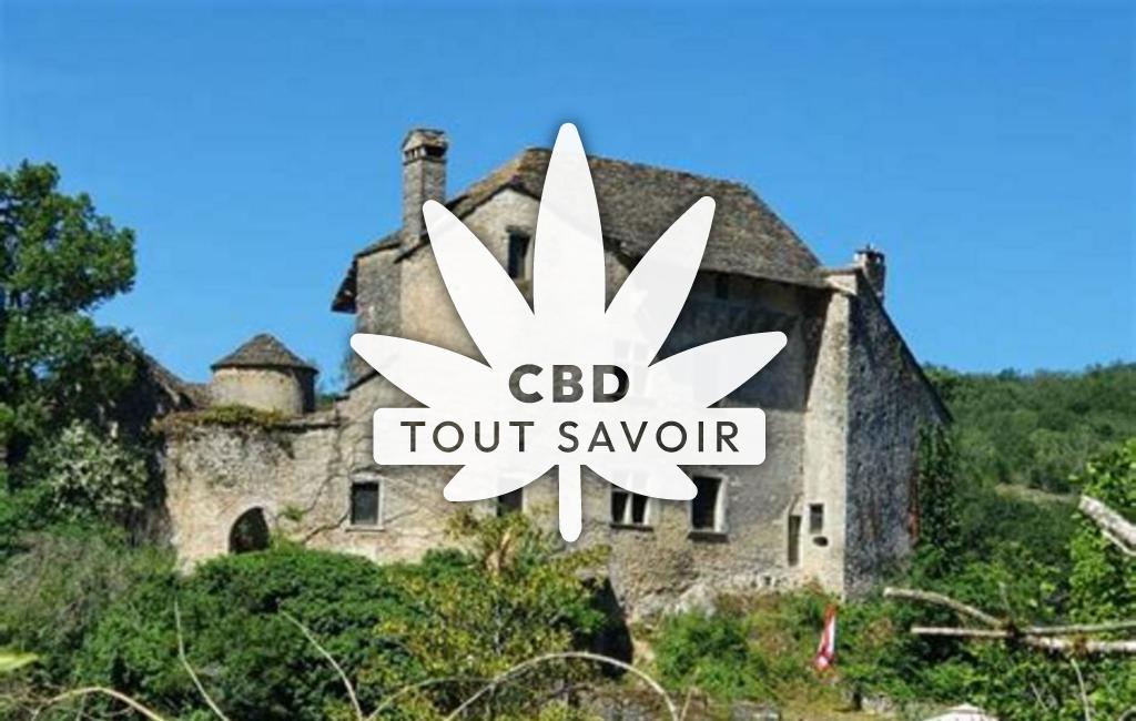 Village à Saint-Baudille-de-la-Tour avec feuille Cannabis CBD