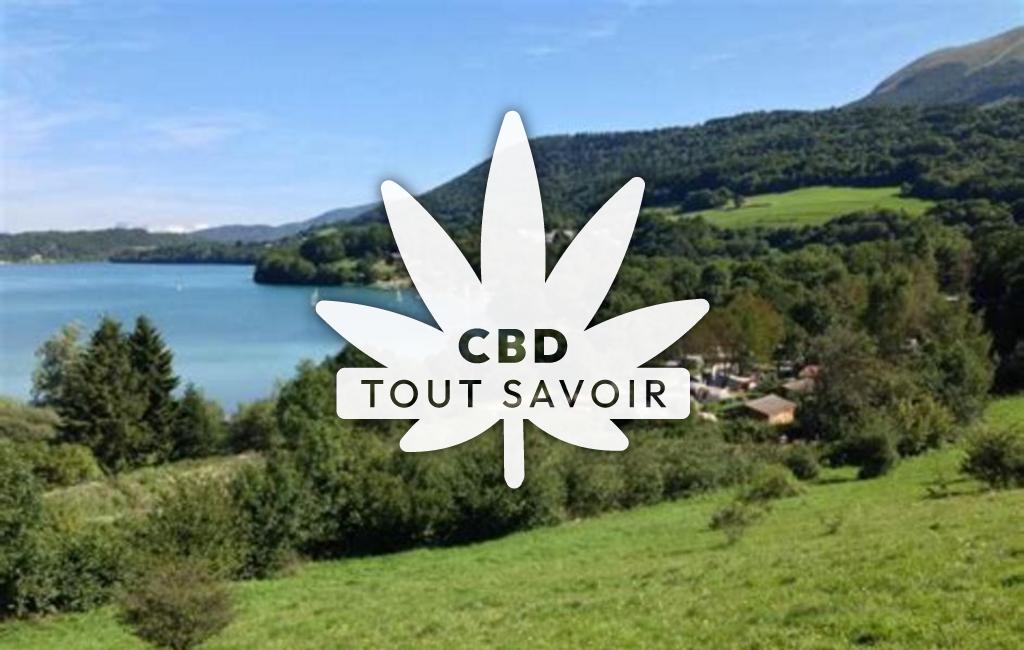 Village à Saint-Theoffrey avec feuille Cannabis CBD