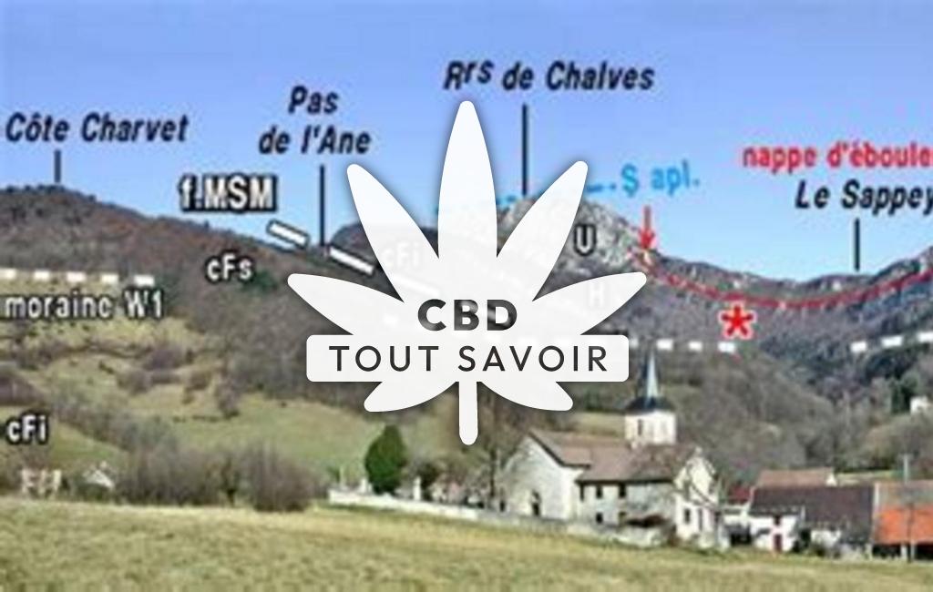 Village à Mont-Saint-Martin avec feuille Cannabis CBD