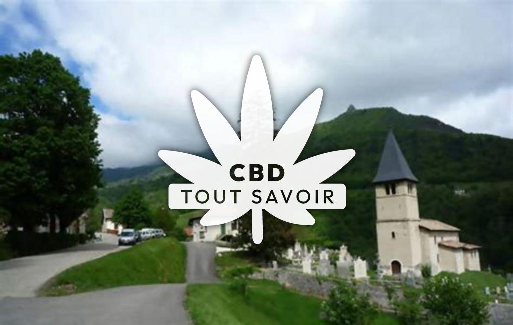 Village à Proveysieux avec feuille Cannabis CBD