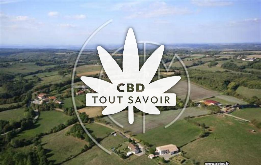 Village à Saint-Julien-de-l'Herms avec feuille Cannabis CBD
