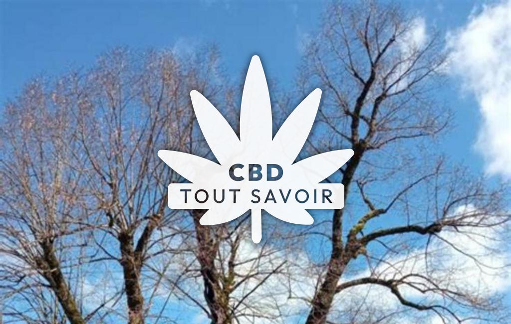 Village à Reaumont avec feuille Cannabis CBD