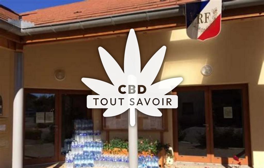 Village à Saint-Paul-D'Izeaux avec feuille Cannabis CBD