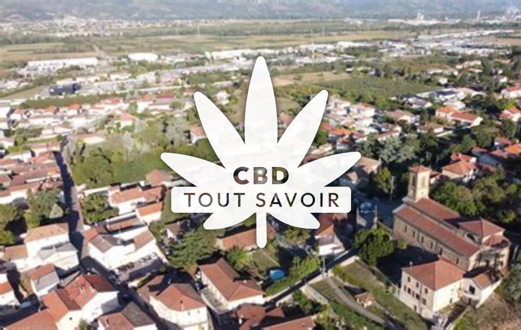 Village à Chanas avec feuille Cannabis CBD