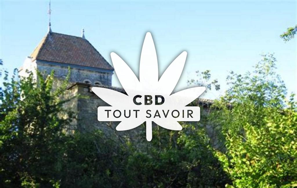 Village à La-Chapelle-de-Surieu avec feuille Cannabis CBD