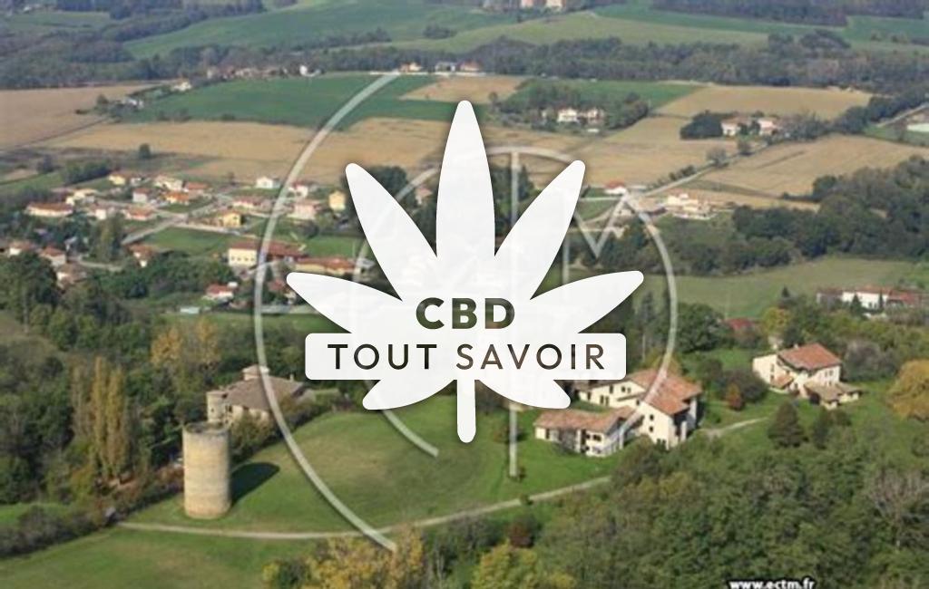 Village à Saint-Romain-de-Surieu avec feuille Cannabis CBD