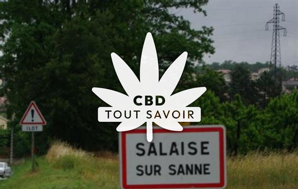 Village à Salaise-sur-Sanne avec feuille Cannabis CBD