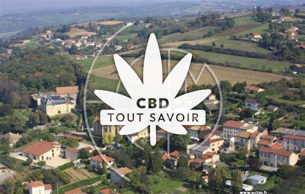 Village à Ville-sous-Anjou avec feuille Cannabis CBD