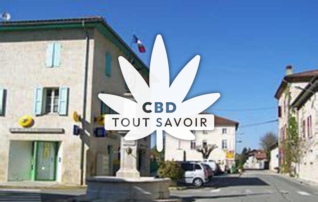 Village à Chatte avec feuille Cannabis CBD