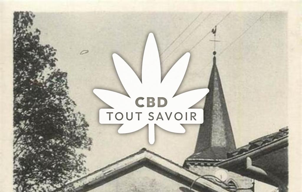 Village à Saint-Appolinard avec feuille Cannabis CBD