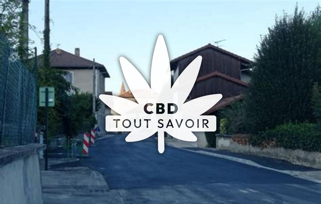 Village à Saint-Verand avec feuille Cannabis CBD