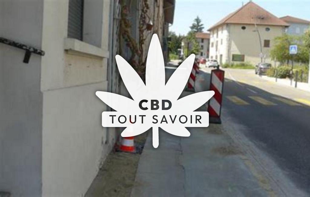 Village à Bernin avec feuille Cannabis CBD