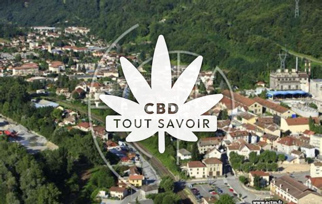 Village à Villard-Bonnot avec feuille Cannabis CBD